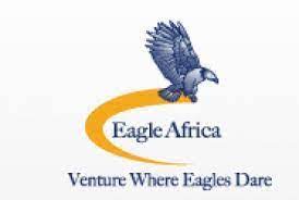 Eagle Africa Insurance brokers